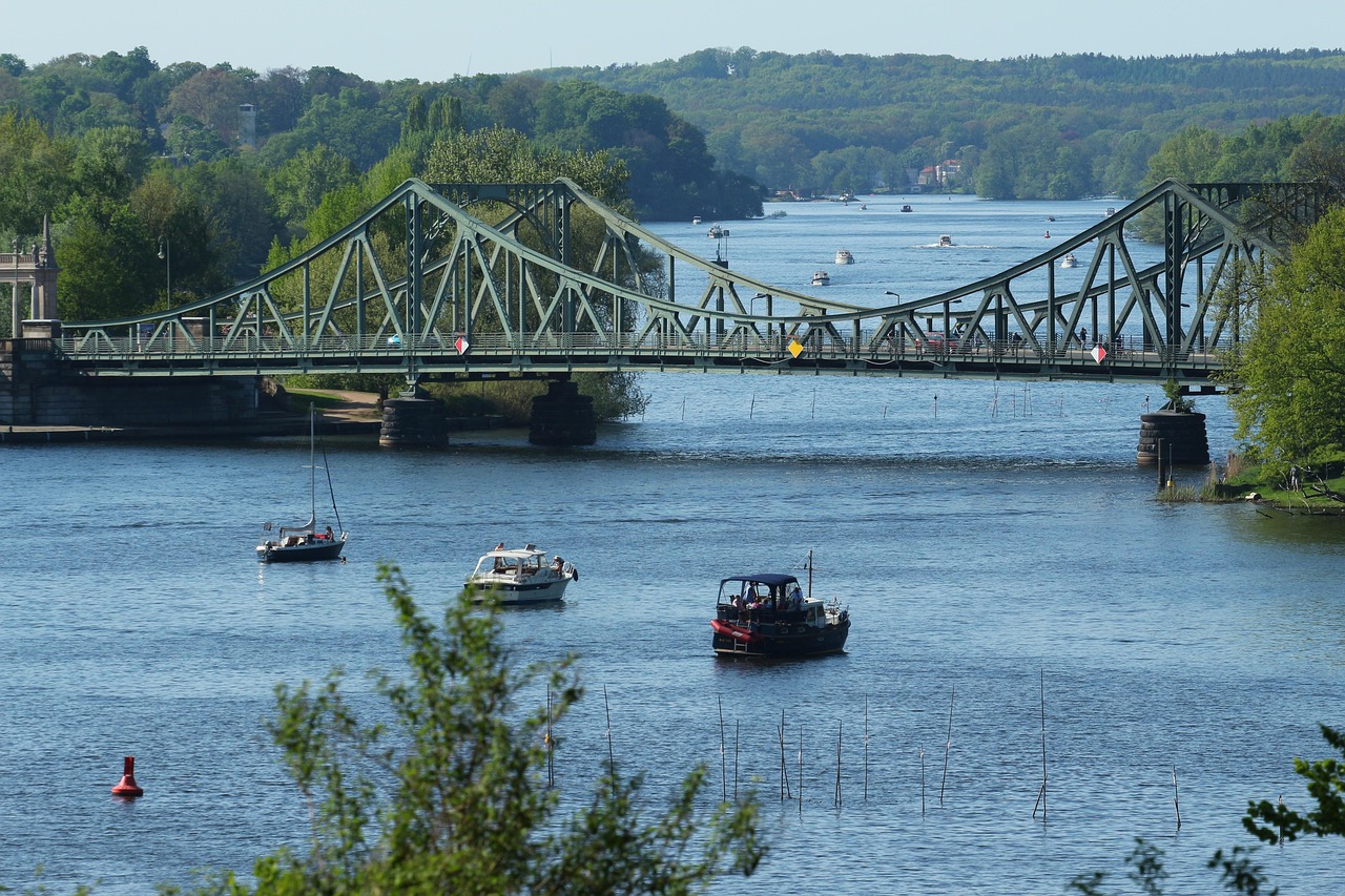 Associations écologiques : leur rôle essentiel dans la protection de l’environnement