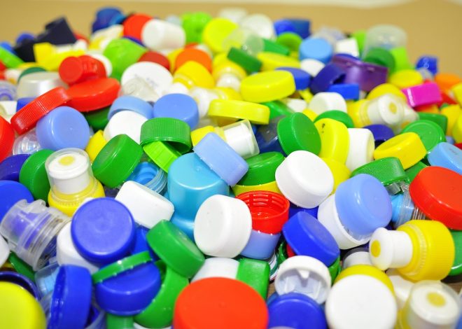 Collecte sélective : Tout ce que vous devez savoir pour mieux recycler