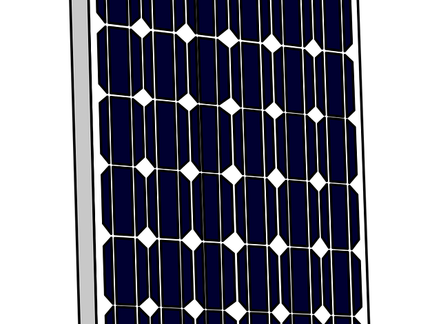 Éco-innovation : Les nouvelles tendances pour un avenir durable