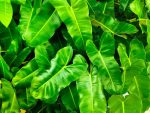 découvrez les entreprises vertes qui s'engagent pour un avenir durable. explorez des solutions innovantes, des pratiques écoresponsables et des initiatives écologiques pour promouvoir une économie respectueuse de l'environnement.