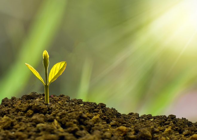 Investissement durable : comment choisir des placements éthiques et rentables