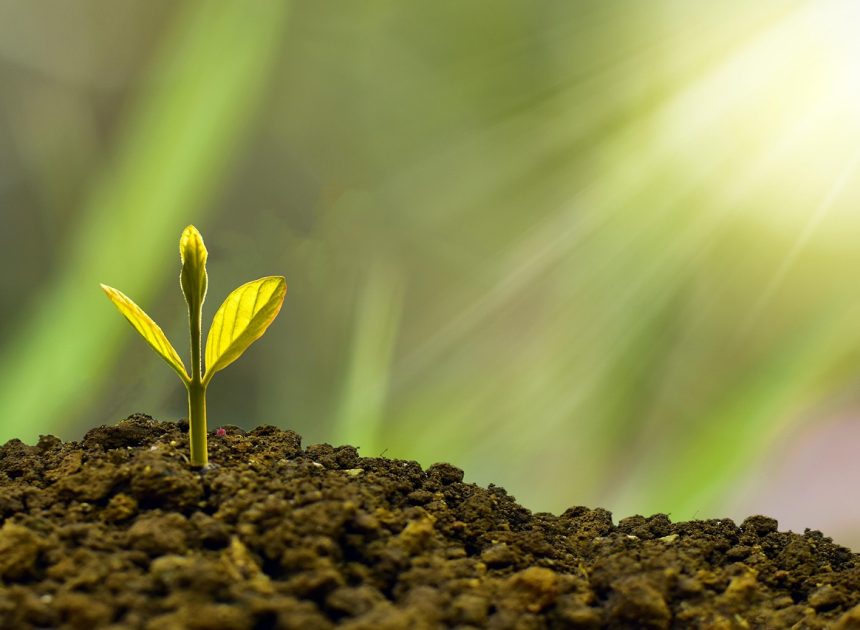 Investissement durable : comment choisir des placements éthiques et rentables