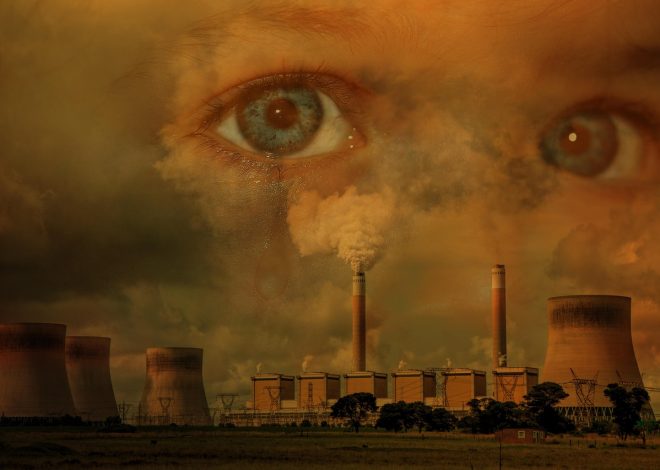 La fresque du climat : un impact sur nos comportements environnementaux ?