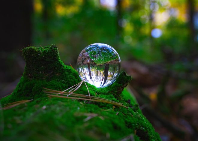 Mesures de préservation : stratégies essentielles pour protéger notre environnement