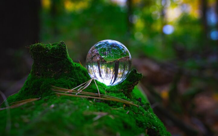 découvrez les enjeux de la préservation de l'environnement, des pratiques durables et des solutions innovantes pour protéger notre planète. engagez-vous pour un avenir plus vert et apprenez comment chaque geste compte.