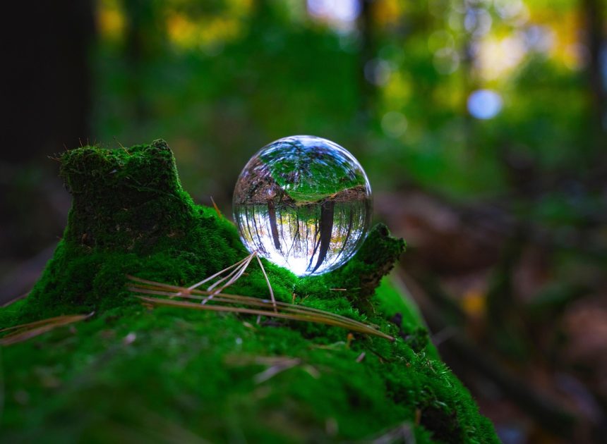 Mesures de préservation : stratégies essentielles pour protéger notre environnement