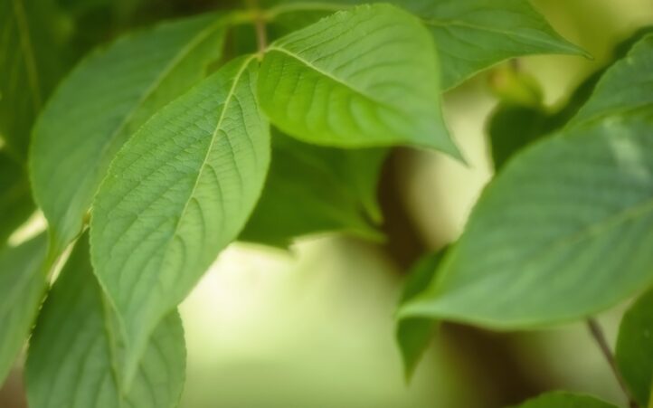 d&eacute;couvrez l'importance de la protection de l'environnement et les actions essentielles &agrave; entreprendre pour pr&eacute;server notre plan&egrave;te. engagez-vous pour un avenir durable et apprenez les meilleures pratiques pour r&eacute;duire votre impact &eacute;cologique.