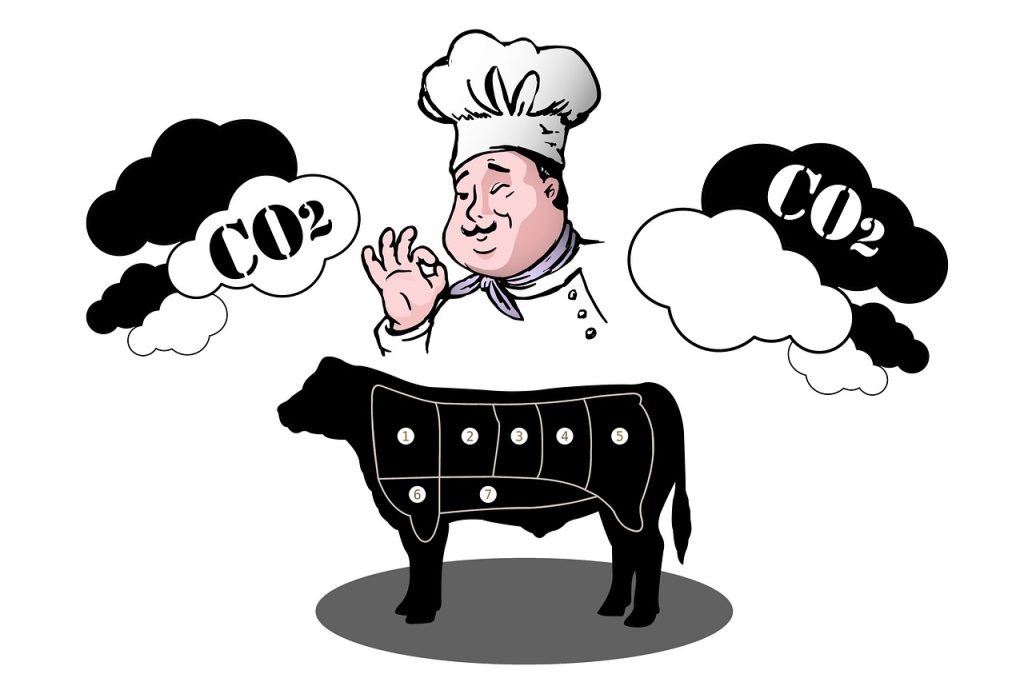 découvrez l'impact environnemental de votre mode de vie avec notre guide complet sur l'empreinte carbone. apprenez à réduire votre consommation, à adopter des alternatives durables et à contribuer à la protection de la planète.