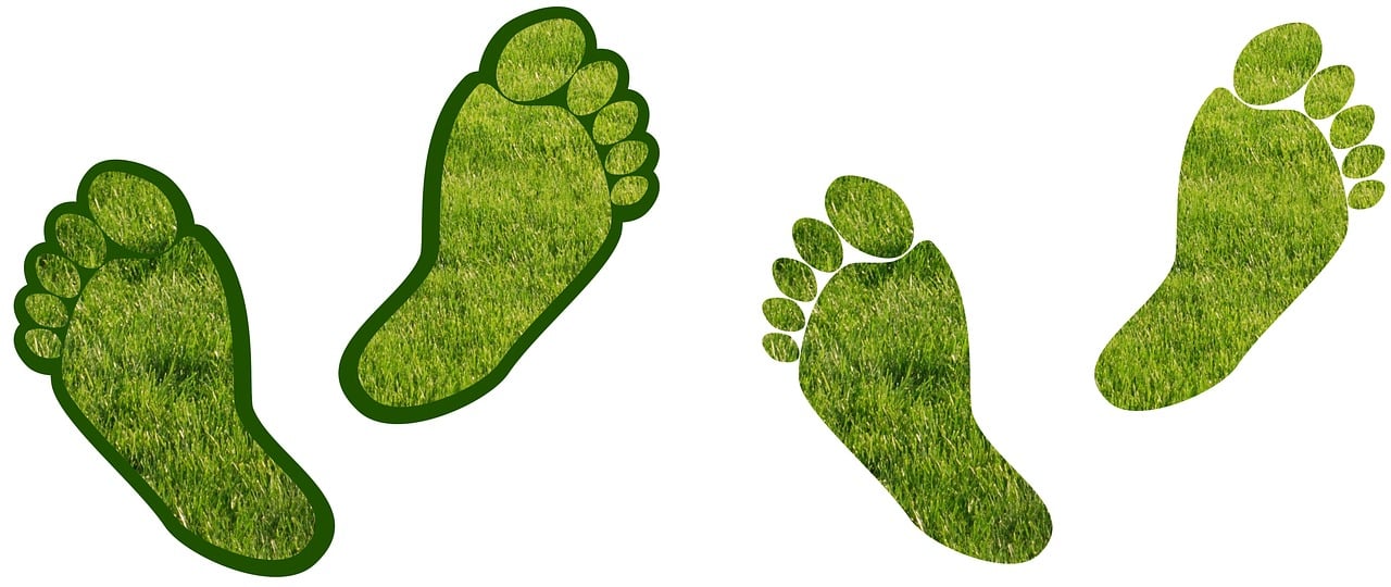 découvrez comment mesurer et réduire votre empreinte carbone avec des conseils pratiques, des outils et des stratégies pour un mode de vie durable. informez-vous sur l'impact de vos choix quotidiens sur l'environnement et engagez-vous dans la lutte contre le changement climatique.
