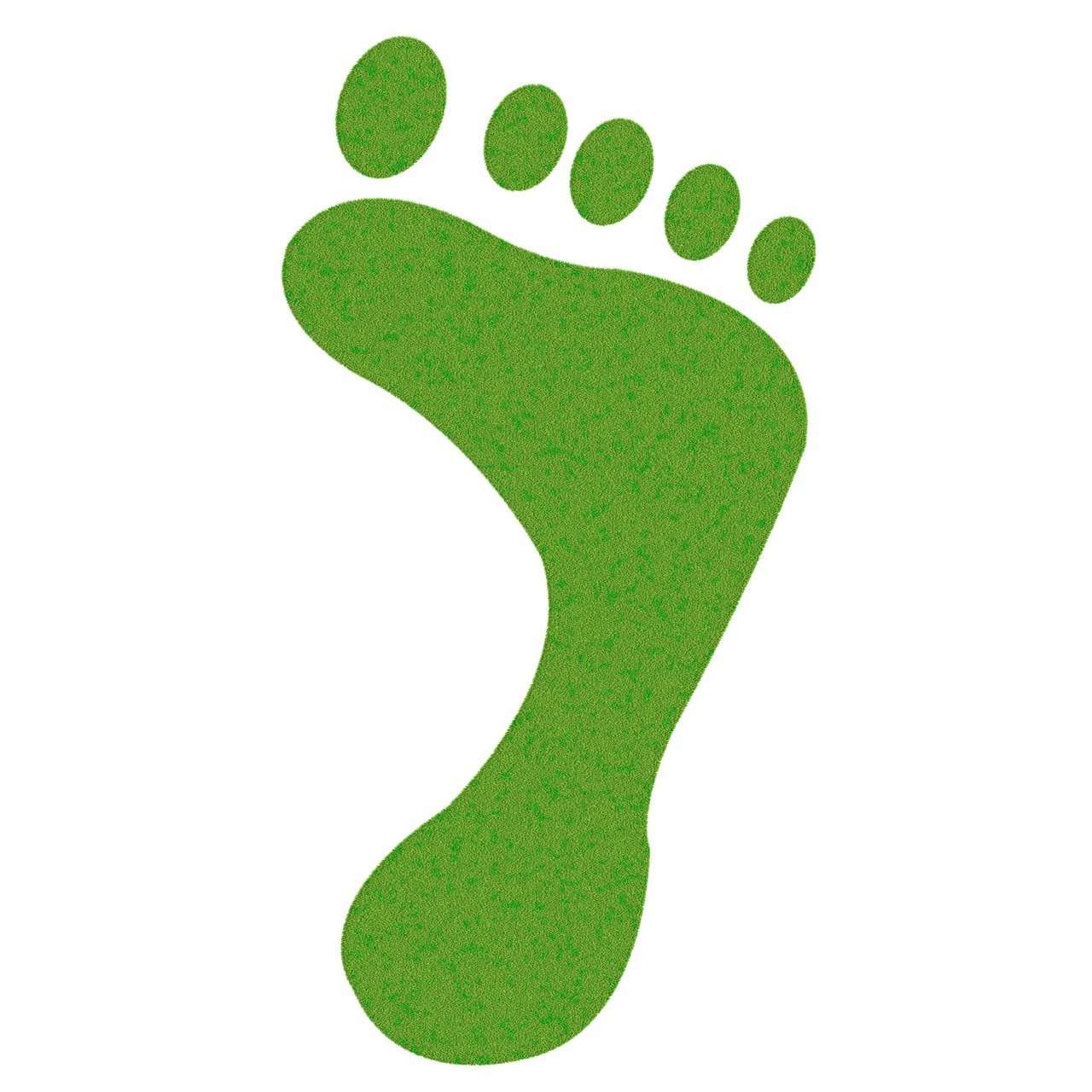 découvrez l'empreinte carbone : une mesure essentielle pour comprendre l'impact environnemental de nos activités quotidiennes. apprenez comment réduire votre empreinte carbone pour un avenir plus durable.