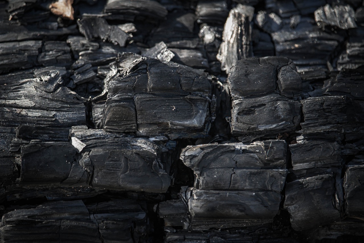 découvrez comment réduire votre empreinte carbone pour un avenir plus durable. apprenez des stratégies pratiques et des conseils pour minimiser l'impact environnemental de vos actions quotidiennes.