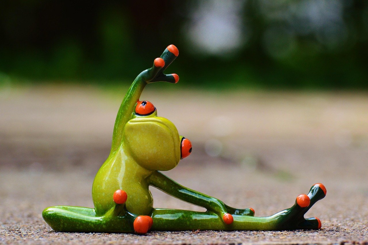 découvrez notre formation sur la transition écologique, conçue pour vous fournir les compétences essentielles et les connaissances nécessaires pour contribuer à un avenir durable. apprenez les stratégies et les pratiques innovantes pour intégrer l'écologie dans vos projets et actions professionnelles.