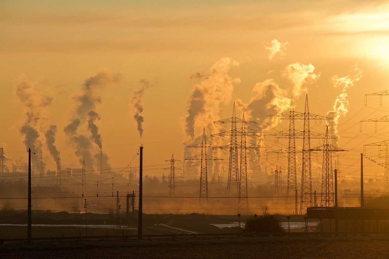découvrez les défis environnementaux majeurs auxquels notre planète fait face, de la pollution à la perte de biodiversité, et explorez les solutions innovantes pour un avenir durable.