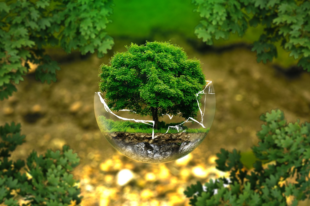 découvrez comment le lobbying environnemental influence les politiques écologiques et promeut des pratiques durables. explorez les acteurs clés, les stratégies et les enjeux qui façonnent notre avenir environnemental.