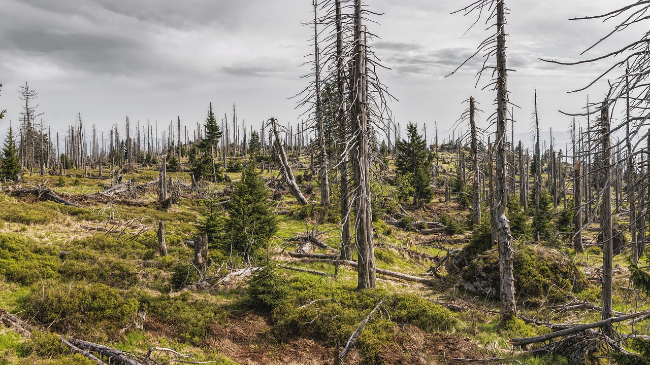 découvrez comment le lobbying environnemental joue un rôle essentiel dans la protection de notre planète. explorez les stratégies, les acteurs impliqués et les impacts de cette pratique sur les politiques écologiques et le développement durable.
