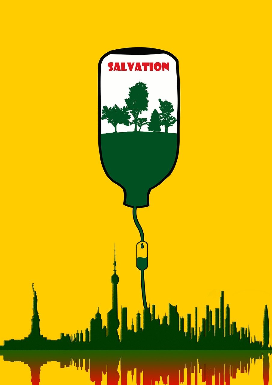 découvrez comment préserver notre environnement pour les générations futures. explorez des actions concrètes pour protéger la biodiversité, réduire les déchets et lutter contre le changement climatique.
