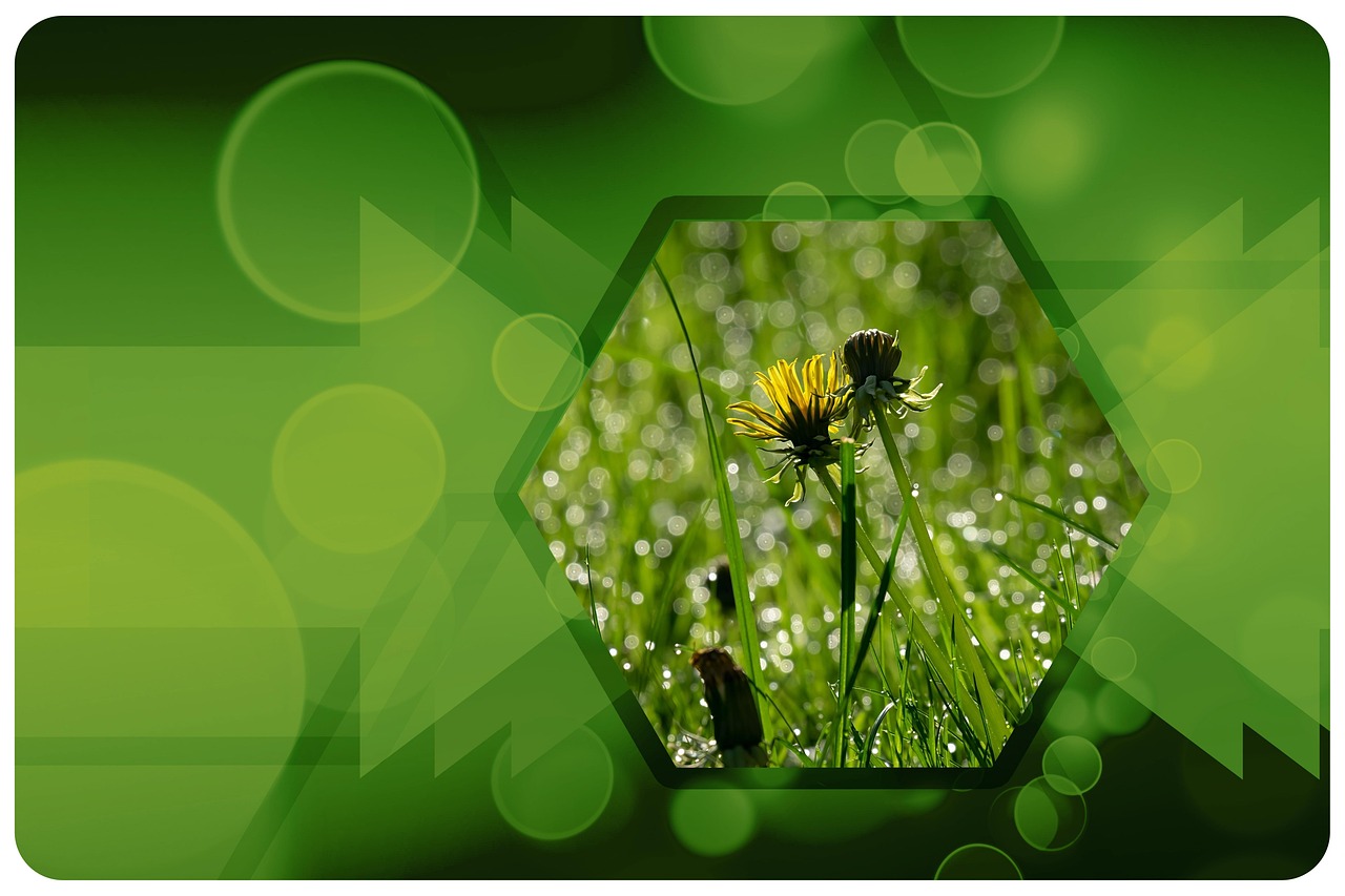 découvrez l'importance de la protection de l'environnement, des initiatives durables aux actions individuelles. apprenez comment contribuer à un avenir plus vert et préserver notre planète pour les générations futures.