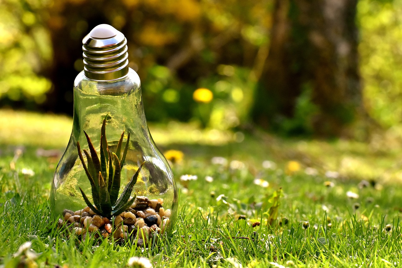 découvrez des stratégies et des actions efficaces pour la protection de l'environnement. apprenez comment préserver la biodiversité, réduire les déchets et lutter contre le changement climatique pour un avenir durable.