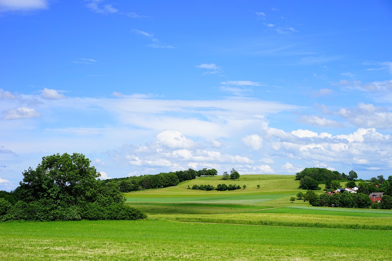 découvrez l'importance des zones protégées pour la conservation de la biodiversité. explorez leurs rôles cruciaux dans la préservation des écosystèmes, la protection des espèces menacées et le maintien des ressources naturelles pour les générations futures.