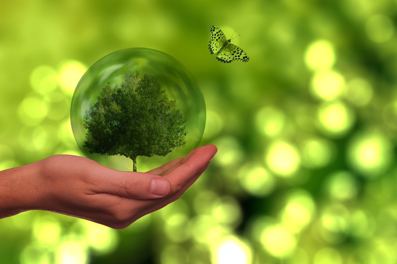 découvrez comment la durabilité transforme notre monde grâce à des pratiques respectueuses de l'environnement, des innovations écologiques et des actions individuelles. engagez-vous pour un avenir plus vert et responsable.