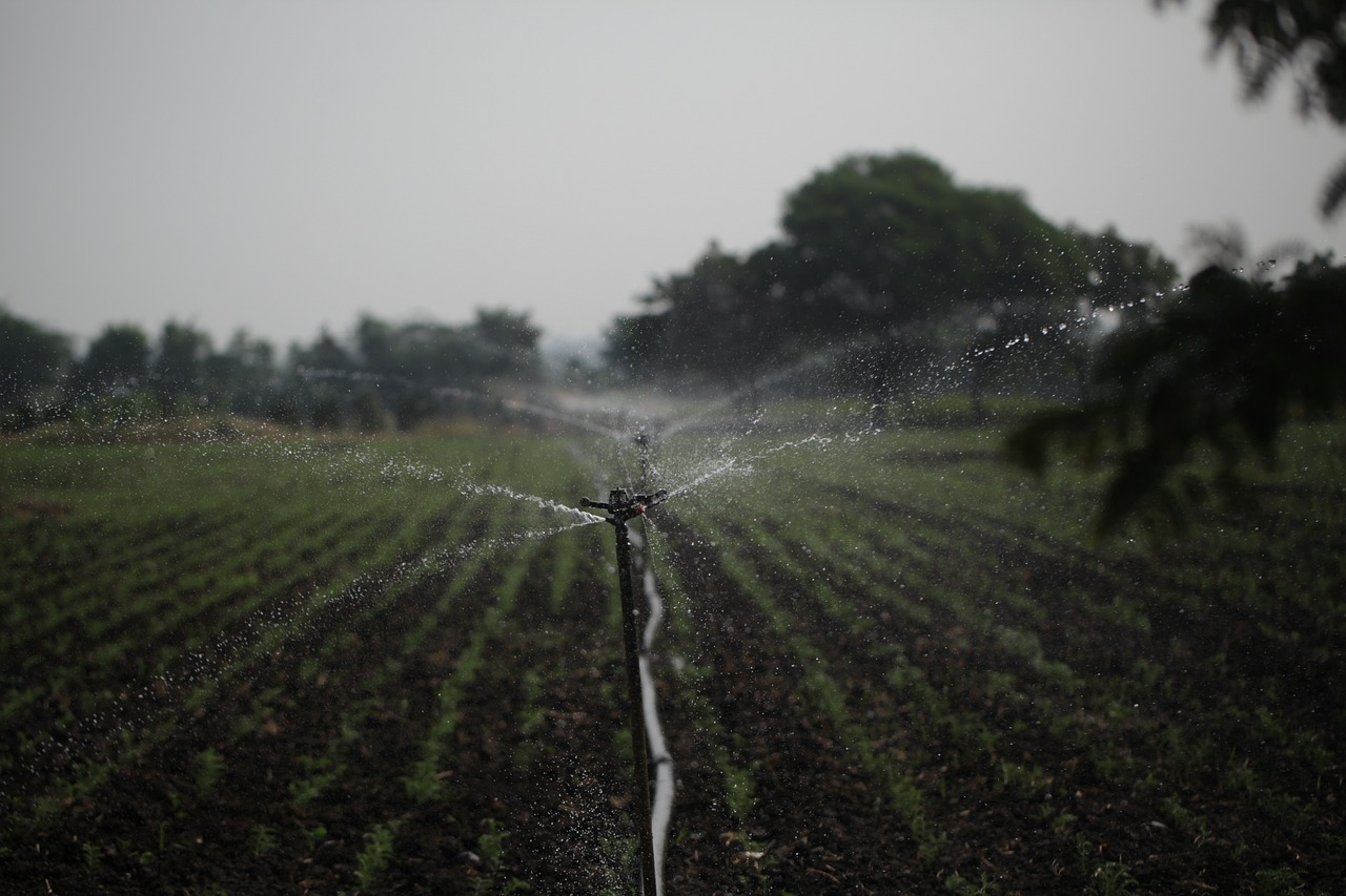 découvrez les pratiques de gestion durable des terres qui préservent l'environnement tout en favorisant le développement économique. apprenez comment optimiser les ressources naturelles pour une agriculture responsable et un avenir durable.
