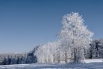 découvrez une sélection captivante de paysages époustouflants, allant des montagnes majestueuses aux plages ensoleillées. plongez dans la beauté naturelle du monde grâce à nos galeries et articles inspirants.