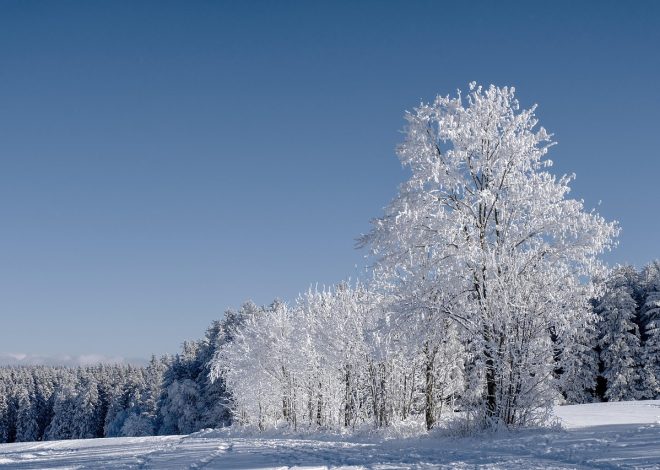 Beaux paysages à couper le souffle : une exploration à travers le monde