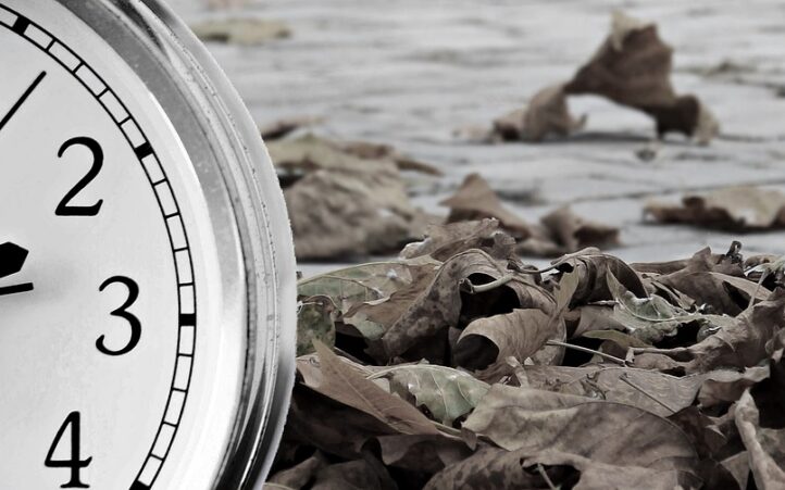 découvrez les enjeux et les dynamiques du changement social, explorez comment les mouvements citoyens influencent nos sociétés et apprenez comment chaque individu peut contribuer à un avenir plus juste et équitable.