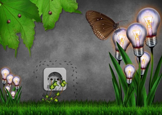 Consommation énergétique : Comment réduire votre facture et préserver l’environnement