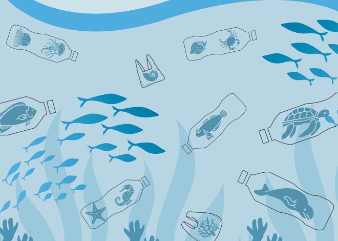 Députés environnementaux : Le rôle crucial des élus dans la protection de notre planète