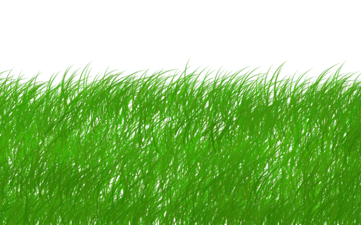 d&eacute;couvrez l'importance de la durabilit&eacute; dans notre soci&eacute;t&eacute; moderne. explorez des pratiques, des innovations et des strat&eacute;gies qui favorisent un avenir respectueux de l'environnement et &eacute;conomiquement viable.