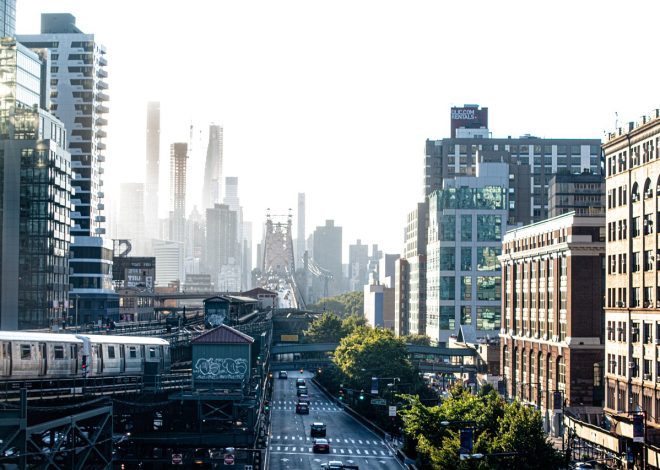 Infrastructure verte : enjeux et perspectives pour un avenir durable