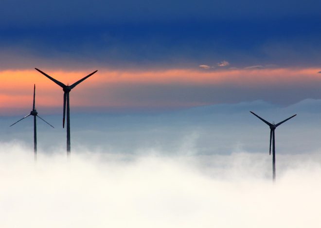 Initiatives écologiques : Des projets innovants pour préserver notre planète
