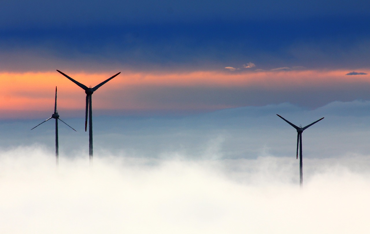 Initiatives écologiques : Des projets innovants pour préserver notre planète