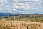 découvrez notre sélection de produits durables, alliant qualité et respect de l'environnement. optez pour des choix responsables qui préservent la planète tout en répondant à vos besoins quotidiens.