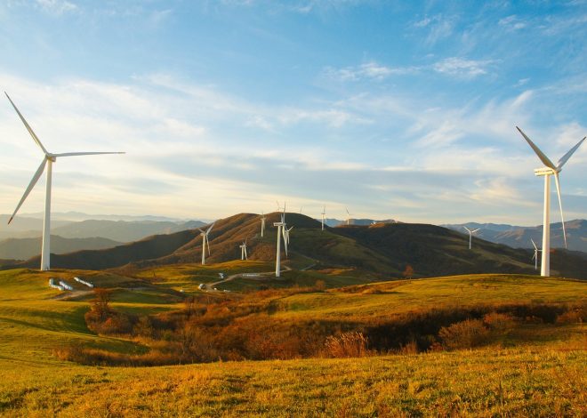 Systèmes de distribution durable : vers une logistique écoresponsable