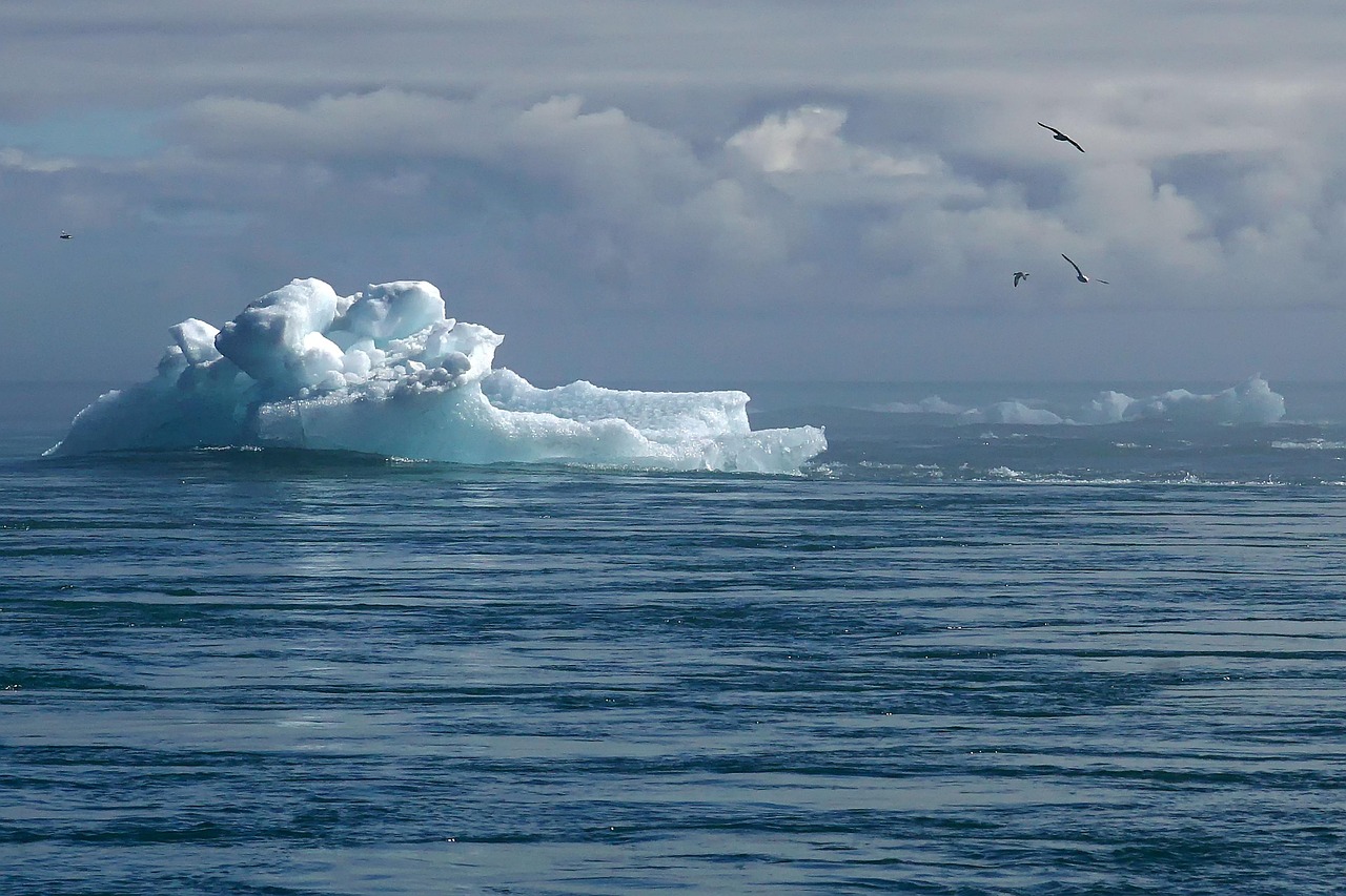 découvrez l'impact du changement climatique sur notre planète. analyse des effets environnementaux, sociaux et économiques, ainsi que des solutions durables pour un avenir meilleur.