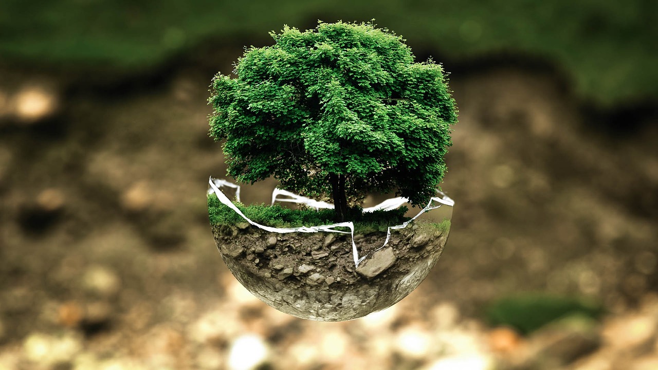 découvrez l'importance de l'évaluation environnementale, un processus clé permettant d'analyser les impacts d'un projet sur l'environnement. informez-vous sur les méthodologies, les réglementations et les meilleures pratiques pour protéger notre planète tout en développant des solutions durables.