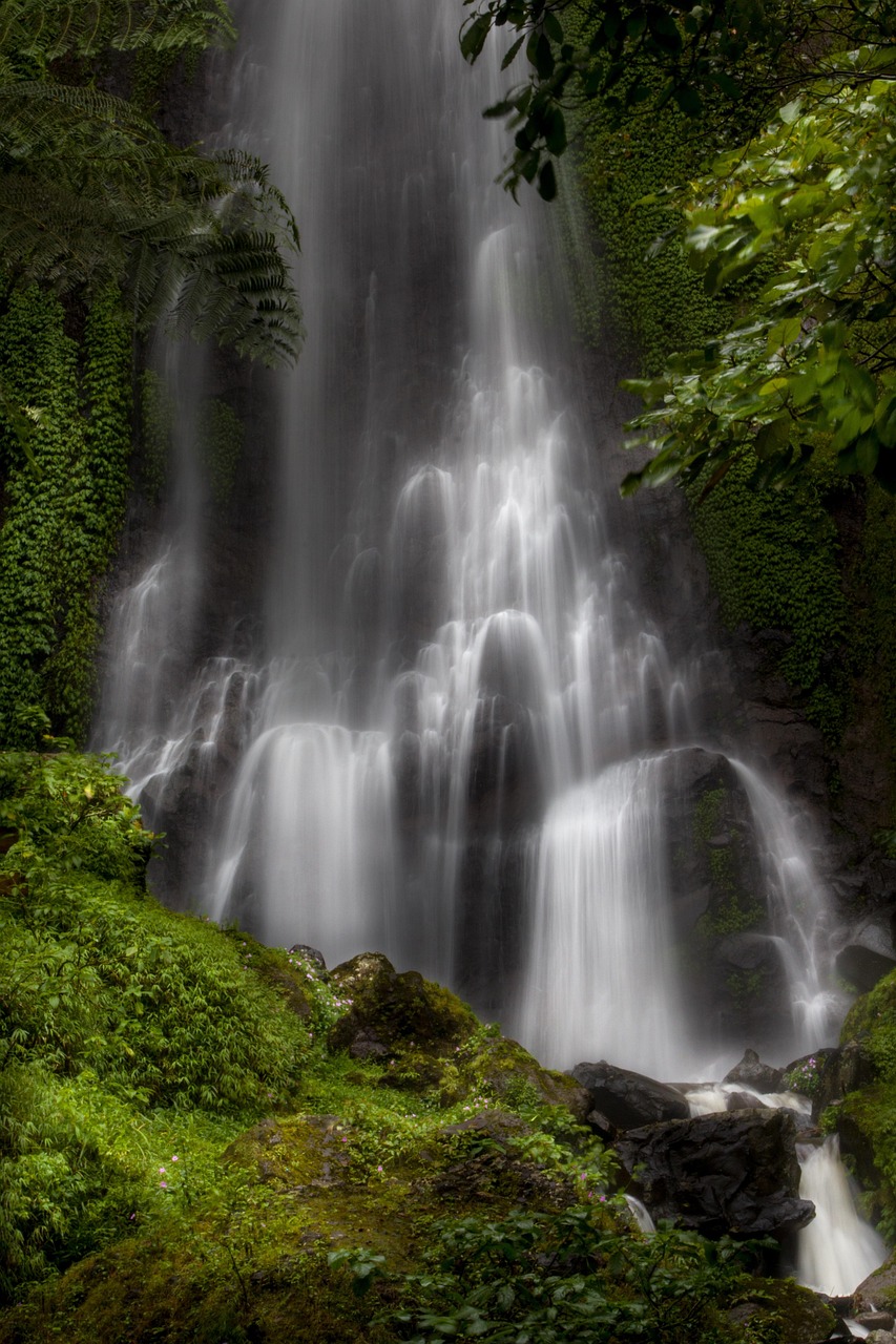 découvrez les merveilles des oasis naturelles : des jardins luxuriants au cœur du désert, des écosystèmes uniques où la biodiversité prospère. apprenez comment ces sanctuaires de verdure offrent refuge et ressources aux visiteurs et à la faune. évadez-vous et explorez la beauté fascinante de ces oasis préservées.