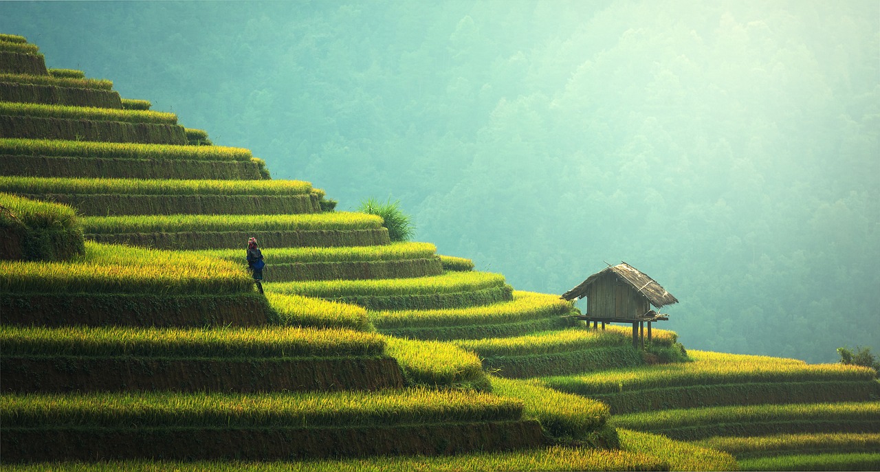 découvrez notre sélection de produits durables qui respectent l'environnement. optez pour des solutions écologiques et éthiques pour un mode de vie plus responsable.