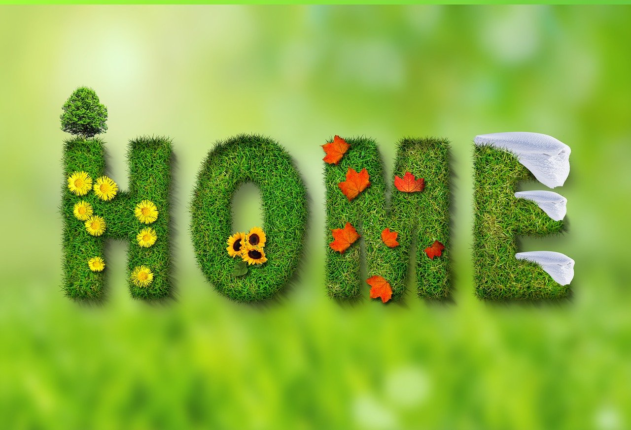 découvrez l'écologie urbaine, une discipline qui allie nature et ville pour promouvoir des environnements urbains durables. explorez comment les espaces verts, la biodiversité et l'aménagement urbain interagissent pour améliorer la qualité de vie en milieu citadin.