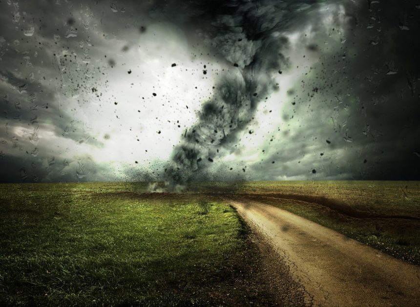 Adaptation aux changements climatiques : stratégies pour un avenir durable