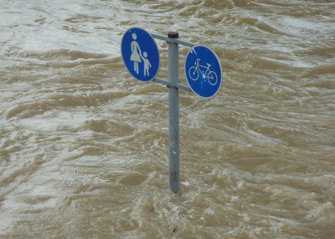 Catastrophes environnementales : comprendre les enjeux et les conséquences sur notre planète