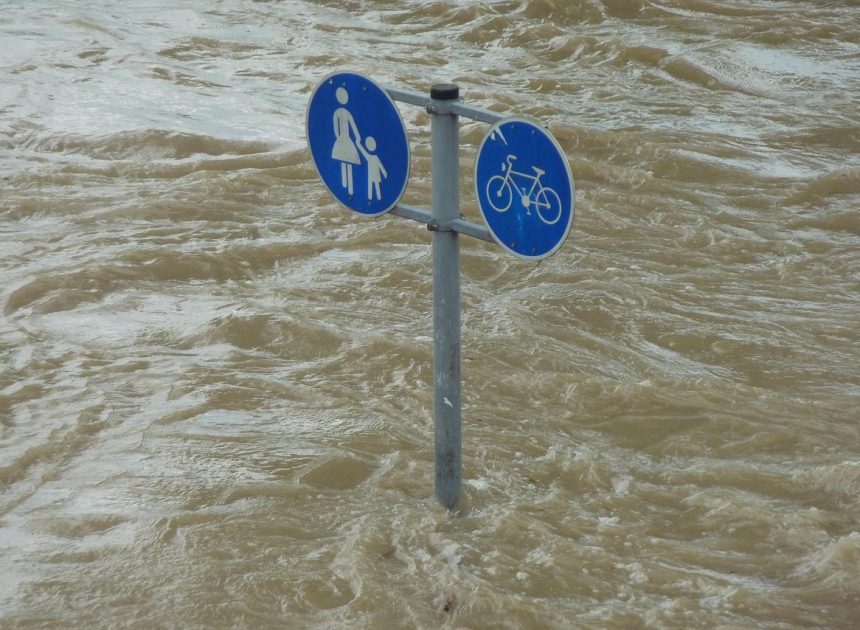 Catastrophes environnementales : comprendre les enjeux et les conséquences sur notre planète
