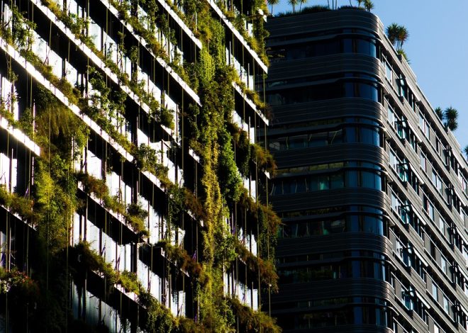 Comité environnemental : Initiatives durables pour un avenir meilleur