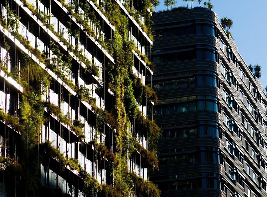 Comité environnemental : Initiatives durables pour un avenir meilleur