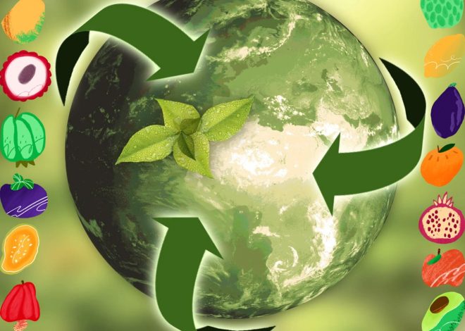 Entrepreneuriat durable : comment créer une entreprise respectueuse de l’environnement