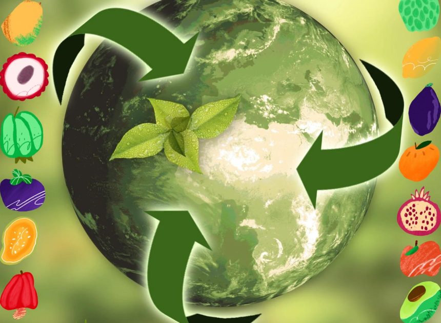 Entrepreneuriat durable : comment créer une entreprise respectueuse de l’environnement