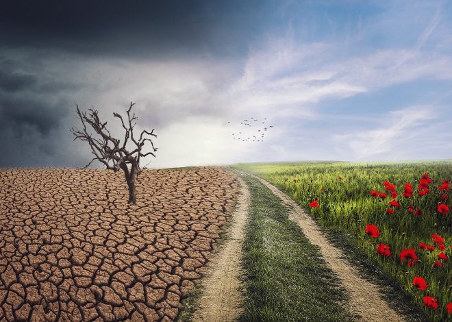 Explorer les effets du changement climatique sur notre planète