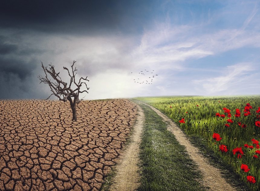 Explorer les effets du changement climatique sur notre planète